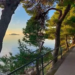 Kralj Ana