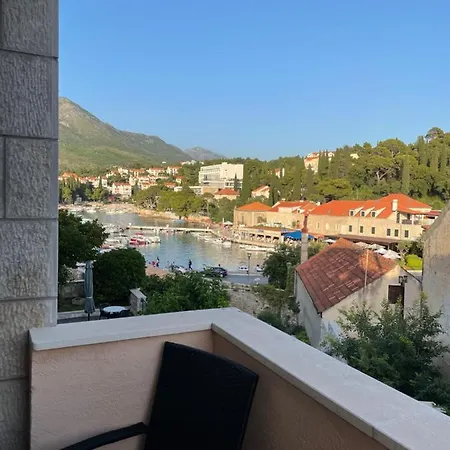 Kralj Ana *