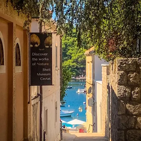 Kralj Ana *