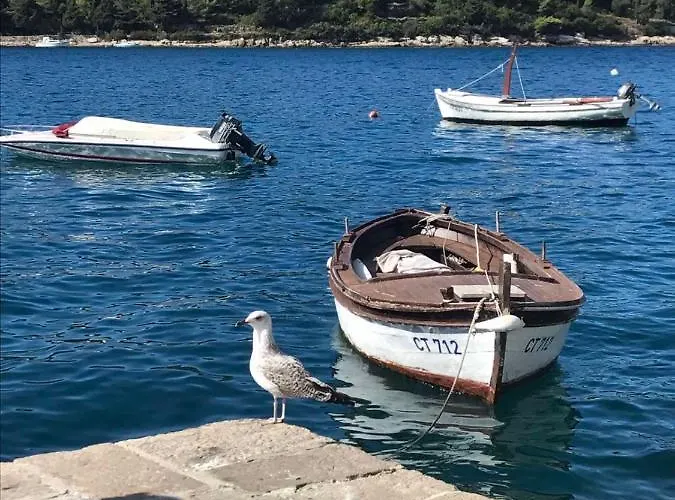 Appartamento Kralj Ana