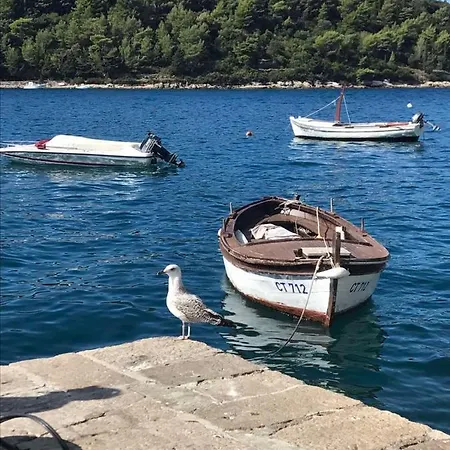 Διαμέρισμα Kralj Ana